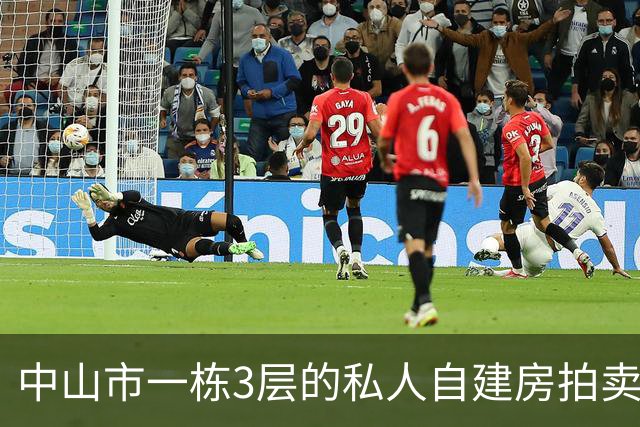 中山市一栋3层的私人自建房拍卖，被人146.85万就竞得