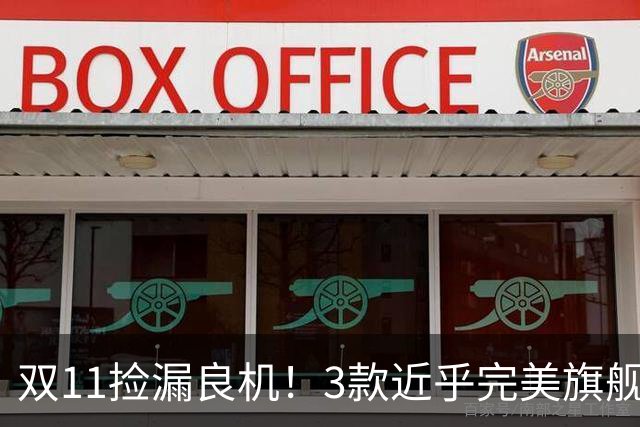 双11捡漏良机！3款近乎完美旗舰，国补降价性价比拉满