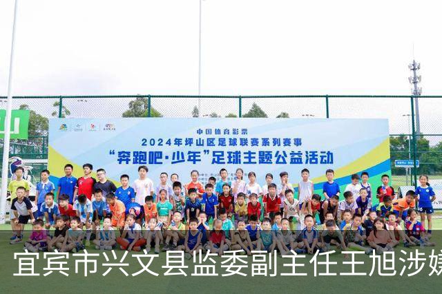宜宾市兴文县监委副主任王旭涉嫌严重违纪违法 接受纪律审查和监察调查