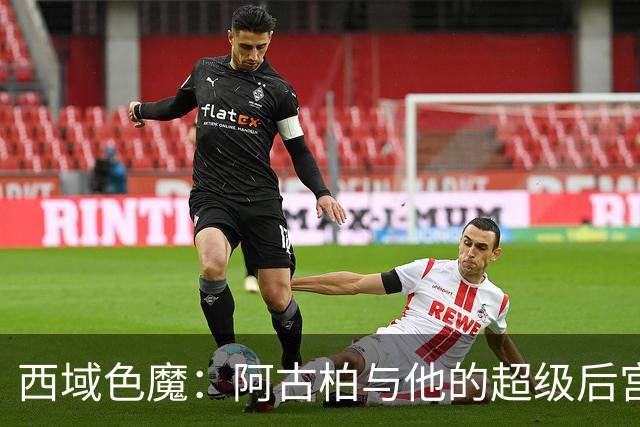 西域色魔：阿古柏与他的超级后宫
